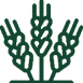 Crop Icon Green Crop Icon Green