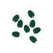 Seeds Icon Green Seeds Icon Green