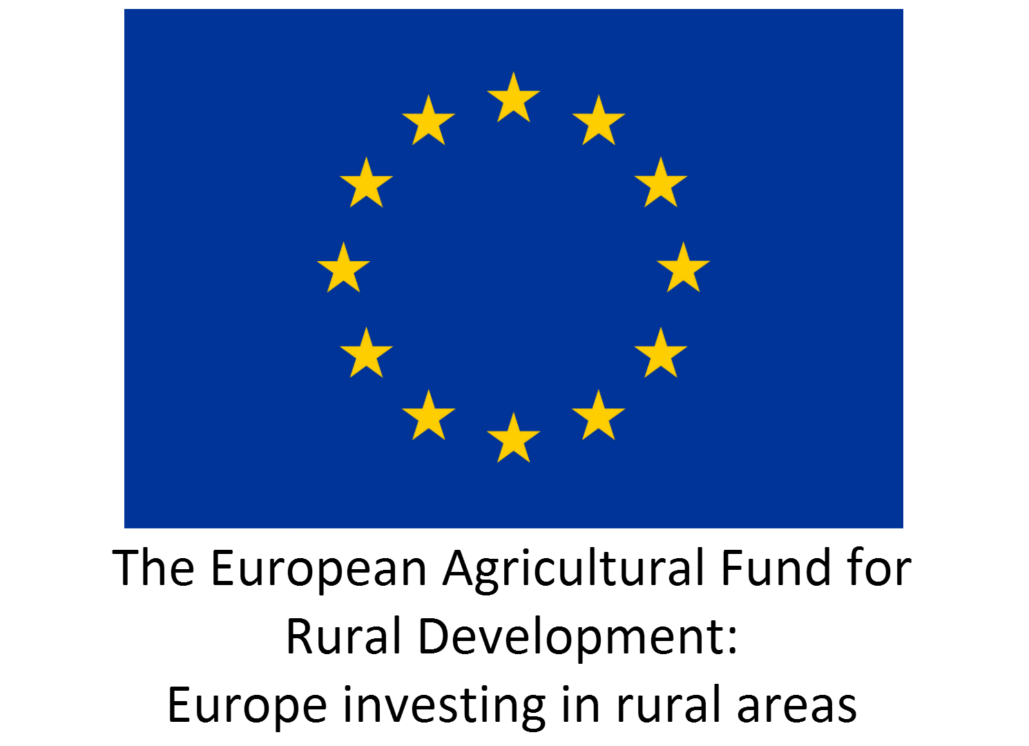EU Logo - Solid